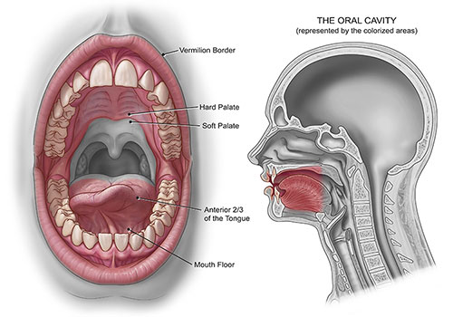 10 Dấu hiệu ung thư khoang miệng sớm nhất mà bạn cần biết