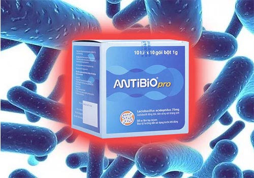 Antibio là thuốc gì? Tác dụng, Cách dùng và Giá tiền