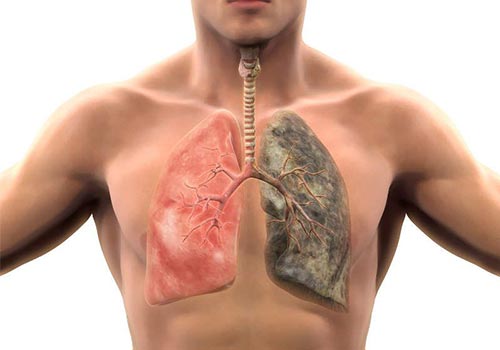 Bỏ thuốc lá bao lâu thì cơ thể bình thường và có sự thay đổi?