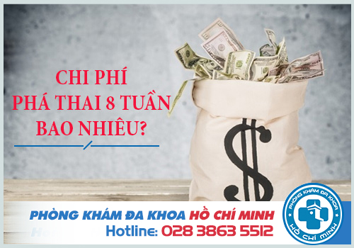 Pha Thai 8 Tuáº§n Tuá»•i Bao Nhieu Tiá»n