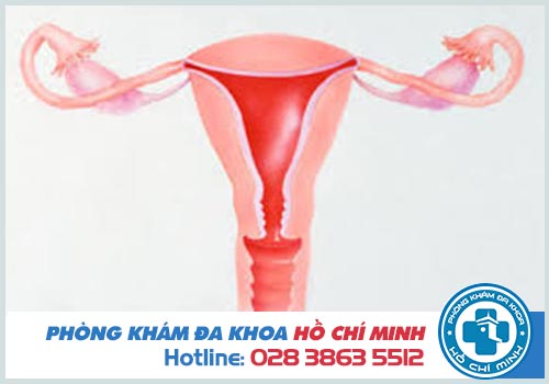 Độ dài cổ tử cung chuẩn theo tuần thai