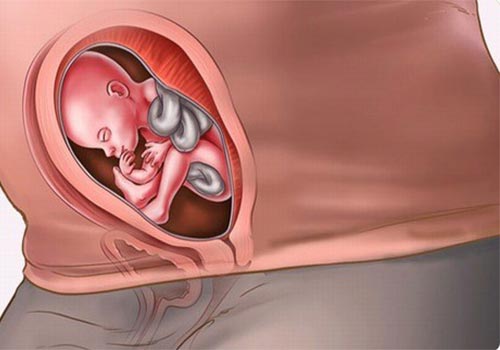 Hình ảnh thai 21 tuần và những điểm cần lưu ý