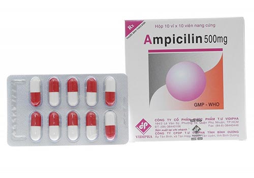 Thuốc Ampicillin 500Mg Vidipha: Tác dụng trị gì, Cách dùng, Liều lượng